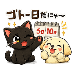 kuma-chan_20260426-Kabu