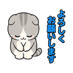 Scottish Fold Cat Business Stickers