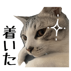 すずこげ銀スタンプvol2