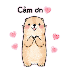 Prairie Dog Everyday Stickers Vietnamese