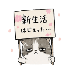Grumpy cat.(new life ver.)