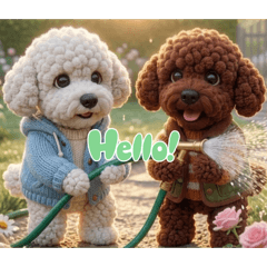 The daily life of an adorable toy poodle