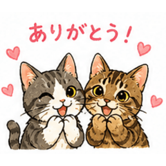 Kiki chacha greeting