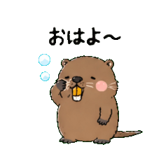 Nutria: Orange-teeth Edition