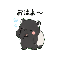 Tapir: Two-tone Edition