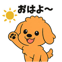 Cute Poodle Riku