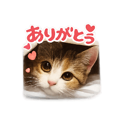 souta_20260426205903