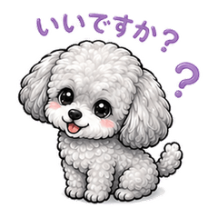 Koko the Fluffy Poodle Vol. 2