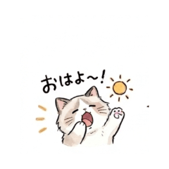 CATS - Daily Chat Stickers