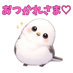 Cute Shimaenaga for Everyday Use2026