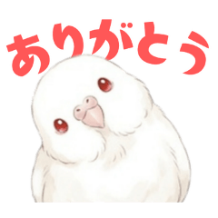 Budgie [Albino] Stickers