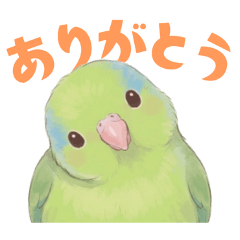 Pacific Parrotlet [Green] Stickers