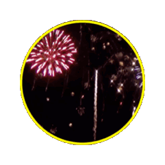 Shiba_20260426220440