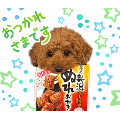 shira_20260427005417