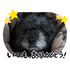 わたしうただよ