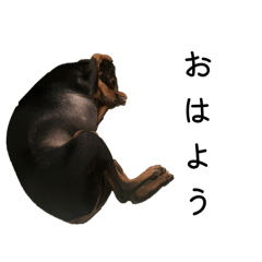 you win_20260427010813