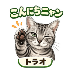 Ryuji Ota_20260427022838