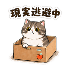 miomio_20260427021419