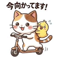 Heartwarming Cat and Chick Stickers