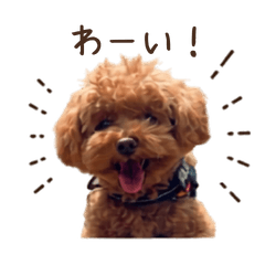 Moko's Daily Stickers