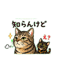 Tsundere Girl & Zen Boy (Cats)