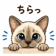 Ko-chan Daily Stickers