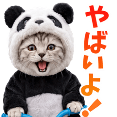 にゃんきち日常スタンプ vol.3 - LINE スタンプ | LINE STORE にゃんきち日常スタンプ vol.3 - LINE スタンプ | LINE STORE