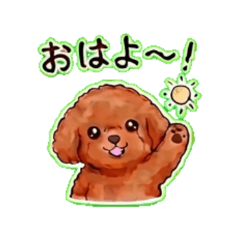 chocolat - Daily Chat Stickers