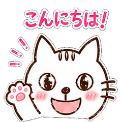 White Cat's Daily Moments