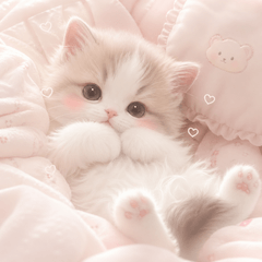 Cozy Kitten Chat Stickers