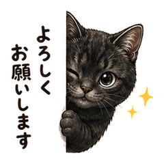 Run the Black Cat Vol. 2