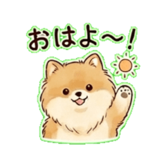 dog-pomeranian - Daily Chat Stickers