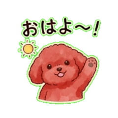 Our Cute Toy Poodles Stickers