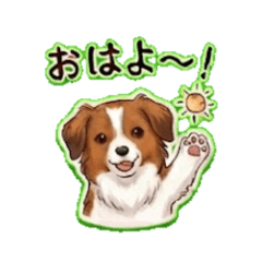 Kooikerhondje - Daily Chat Stickers