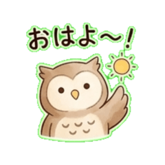 owl- Daily Chat Stickers