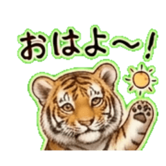 Tiger T - Daily Chat Stickers