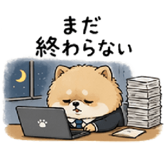Workaholic Pomeranian!