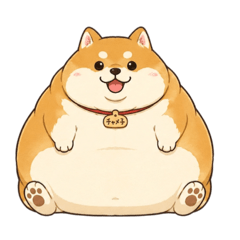 Chameko: The Roundest Shiba Inu