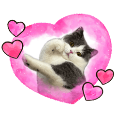 ブリショのロイくん