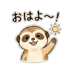 Meerkat-DailyChat Stickers