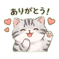 Cute American Shorthair Daily Stickers
