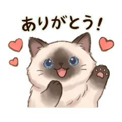 Cute & Chill Siamese Cat Daily Stickers