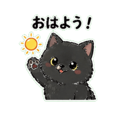 Cute & Chill Black Cat Daily Stickers