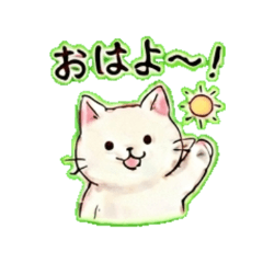 Neko - Daily Chat Sticker