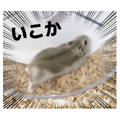 ayanana_20260426231503