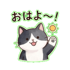Neko - Daily Chat Stickers24