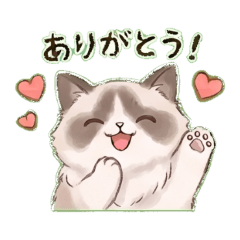 Cute & Chill Ragdoll Daily Stickers