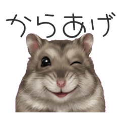 karaagepoporin_20260426234515