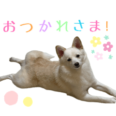 Kottama_20260426232749