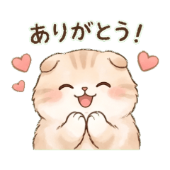Cute Scottish Fold Daily Stickers